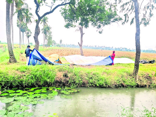 దిత్వాగుబులు 1