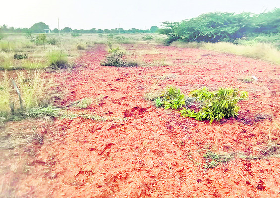 విస్తరిస్తున్న విషసంస్కృతి 1