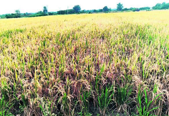 దిత్వా తరుముకొస్తోంది!1