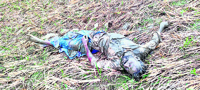 ట్రాక్టర్‌ బోల్తాపడి డ్రైవర్‌ మృతి 1