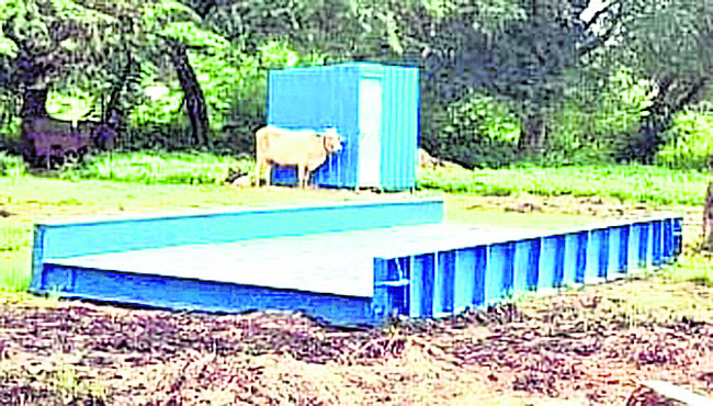 చెరకు తూనిక కేంద్రాలు సిద్ధం2