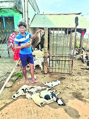 త్రుటిలో తప్పిన ప్రమాదం1