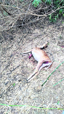 ‘ఇంటి దొంగల్లో’ టెన్షన్‌!1