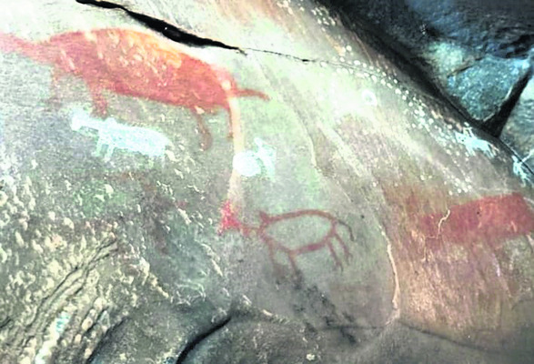 ● బొగ్గులు పరిశీలన 2