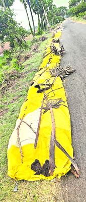 కంటిమీద కునుకు కరువు 1