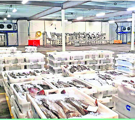 కుయ్యో రొయ్యో..! 1