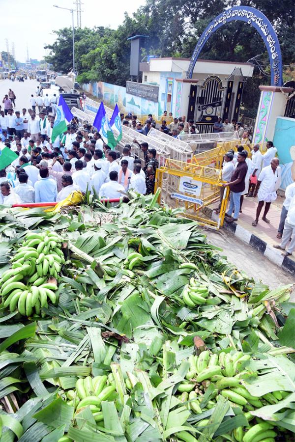 Banana Farmers Huge Protest Against Chandrababu Govt At Anantapur11
