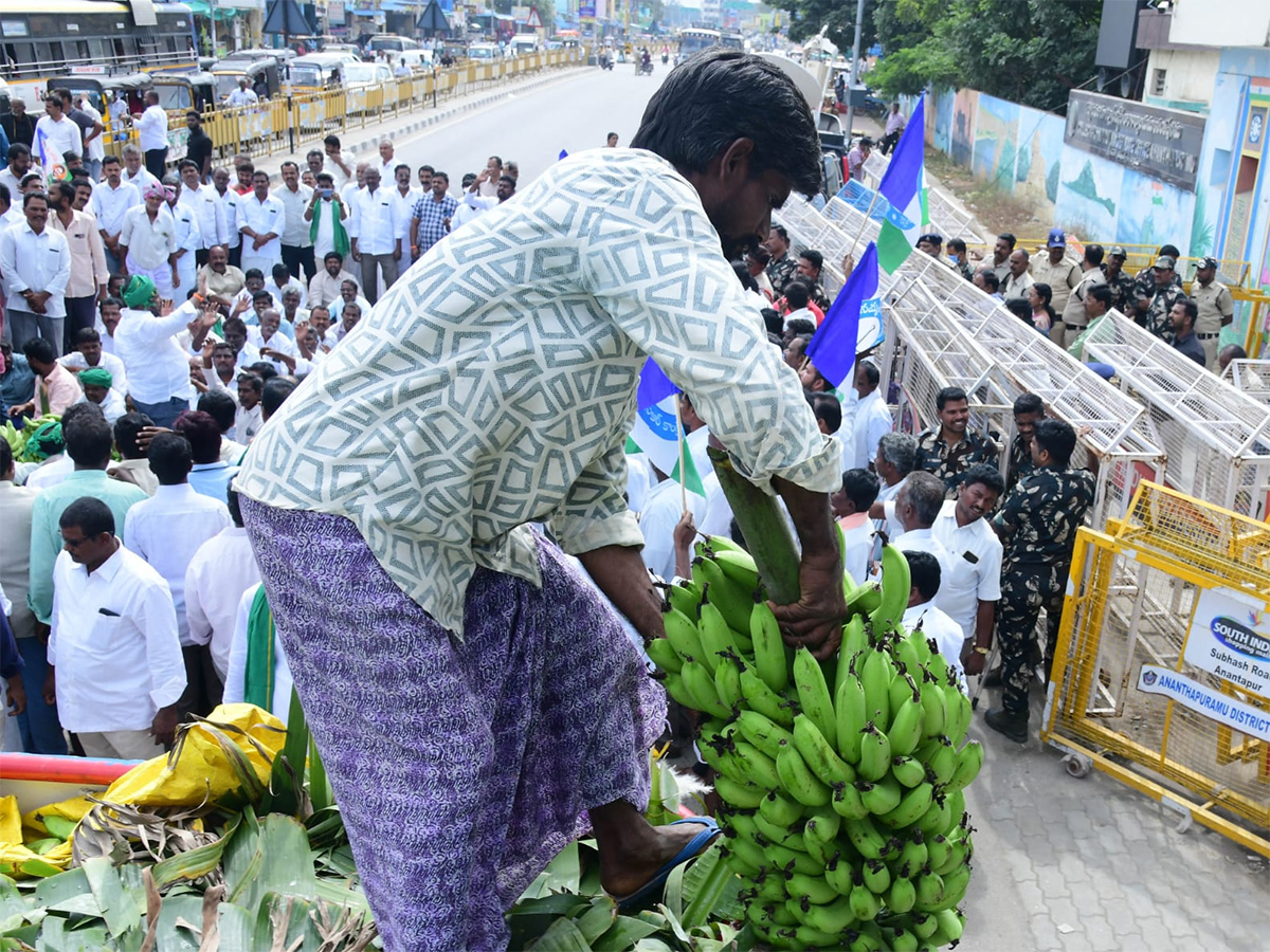 Banana Farmers Huge Protest Against Chandrababu Govt At Anantapur12