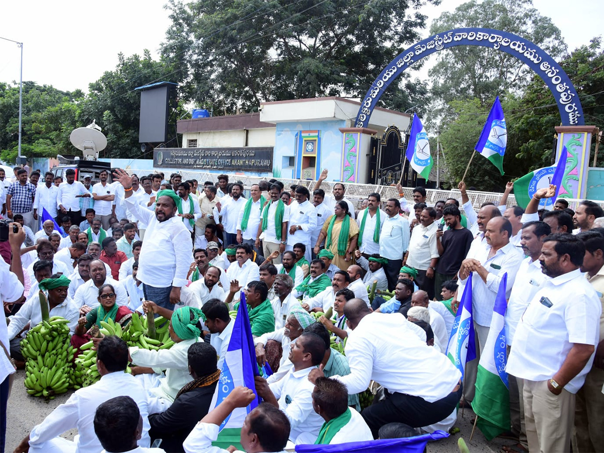 Banana Farmers Huge Protest Against Chandrababu Govt At Anantapur16