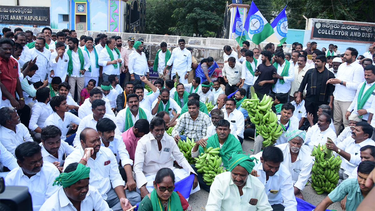 Banana Farmers Huge Protest Against Chandrababu Govt At Anantapur18