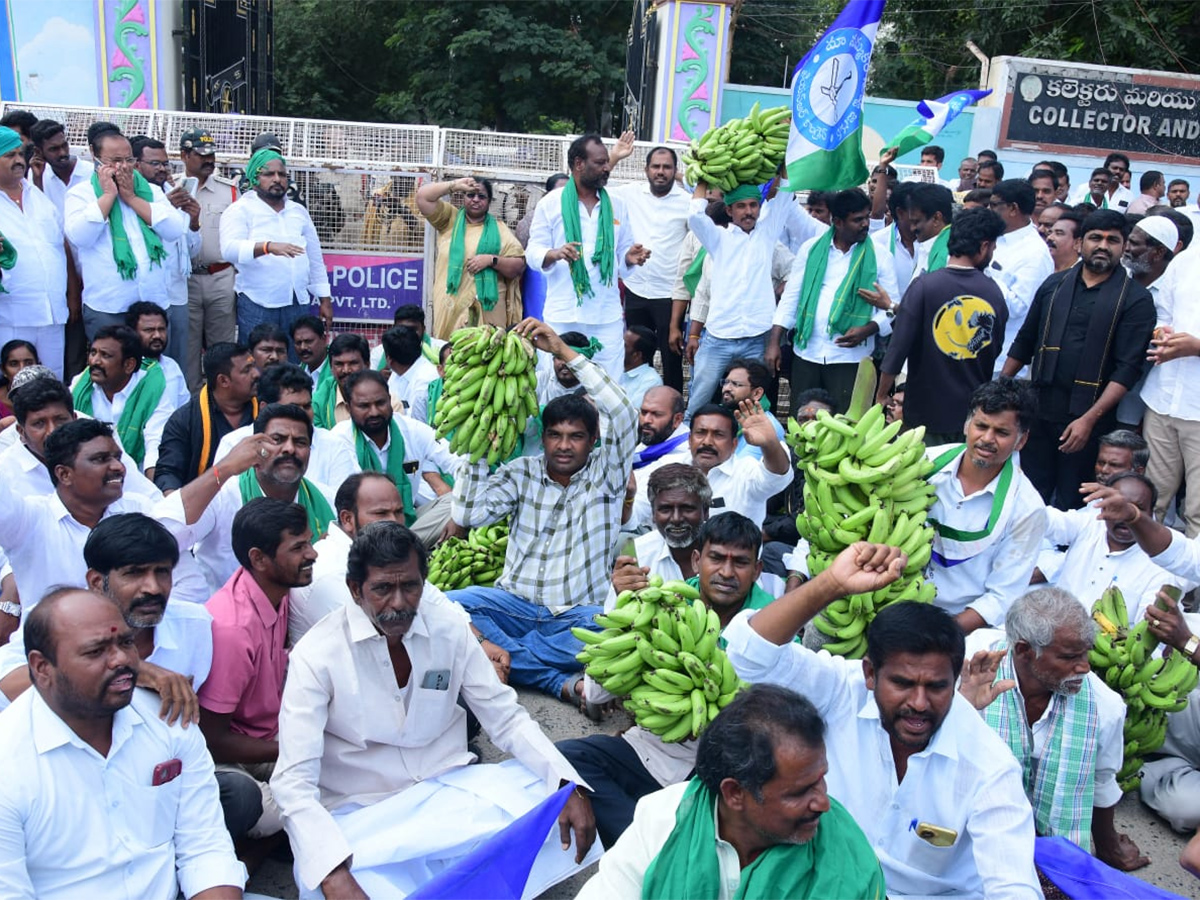 Banana Farmers Huge Protest Against Chandrababu Govt At Anantapur20