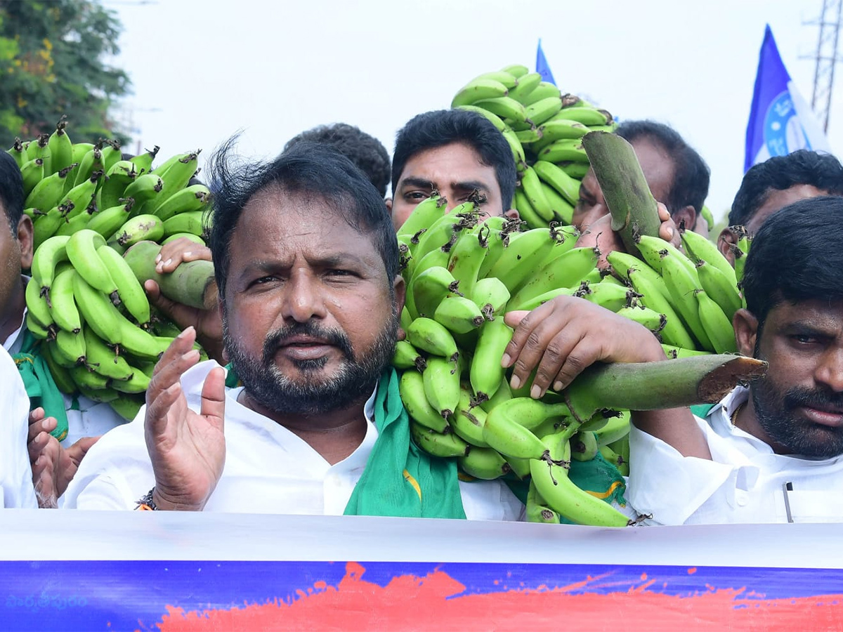 Banana Farmers Huge Protest Against Chandrababu Govt At Anantapur21