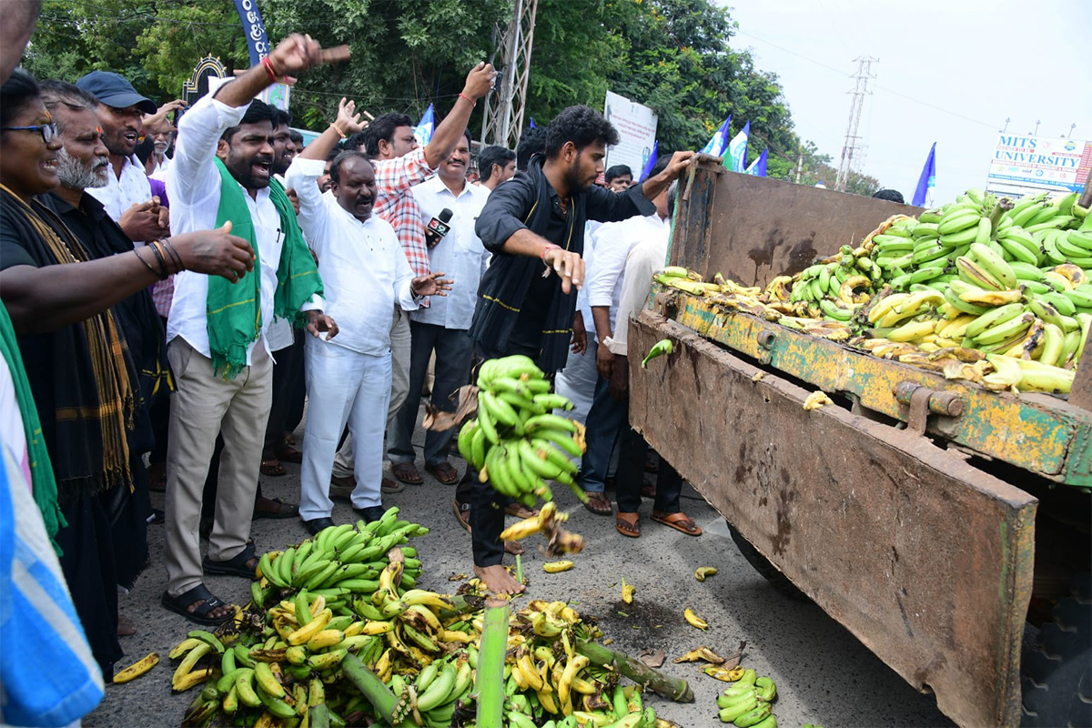 Banana Farmers Huge Protest Against Chandrababu Govt At Anantapur22