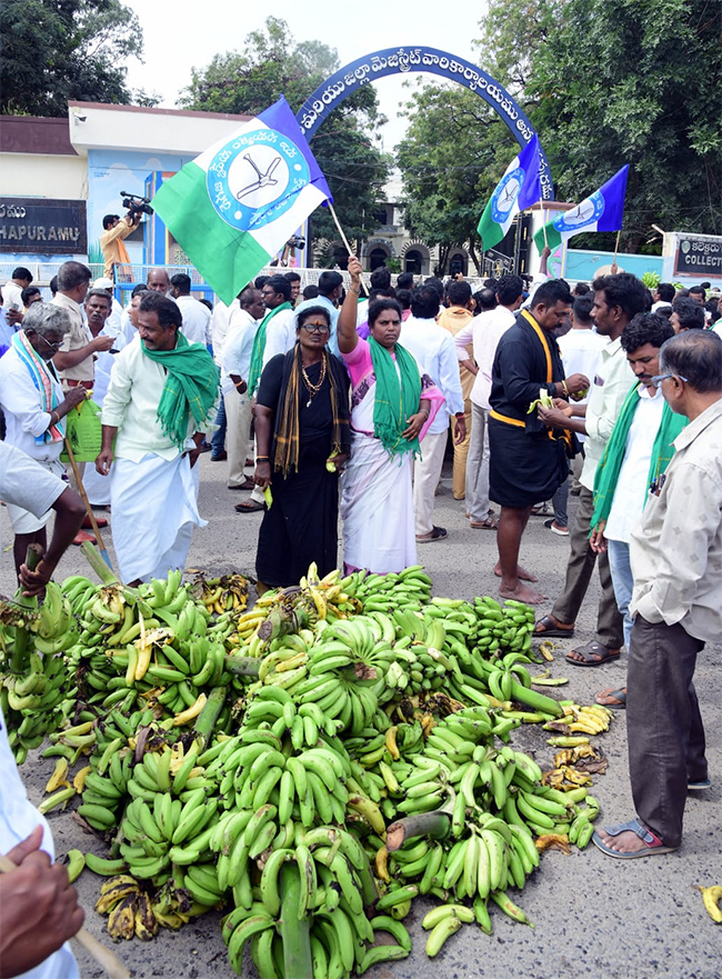 Banana Farmers Huge Protest Against Chandrababu Govt At Anantapur4