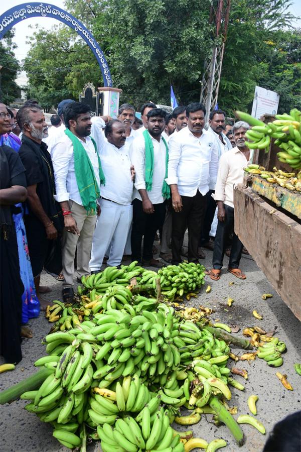 Banana Farmers Huge Protest Against Chandrababu Govt At Anantapur7