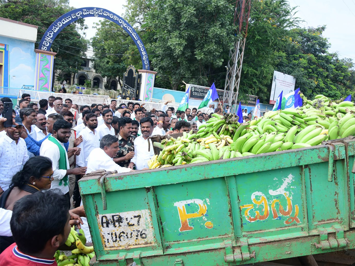 Banana Farmers Huge Protest Against Chandrababu Govt At Anantapur8