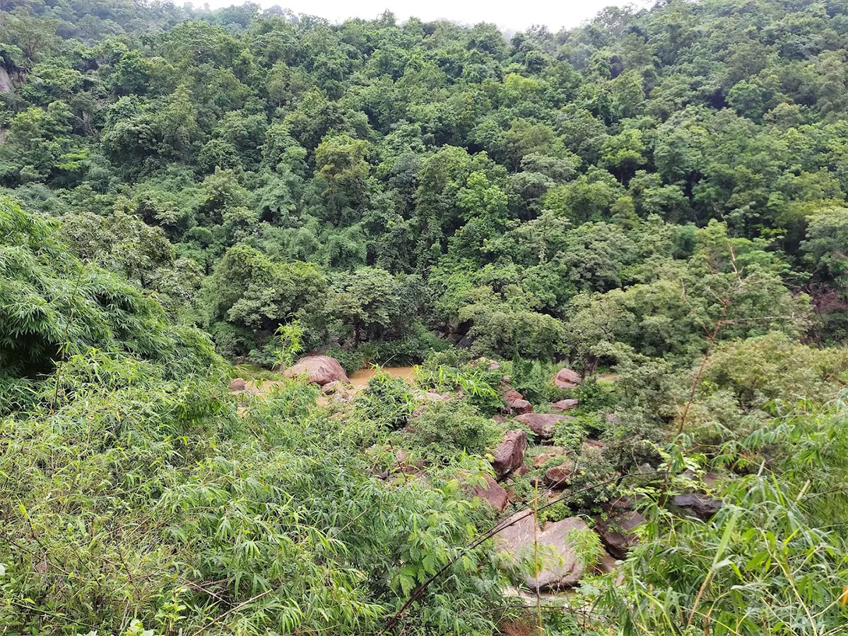 Mankadadian Waterfall in Odisha Photos10