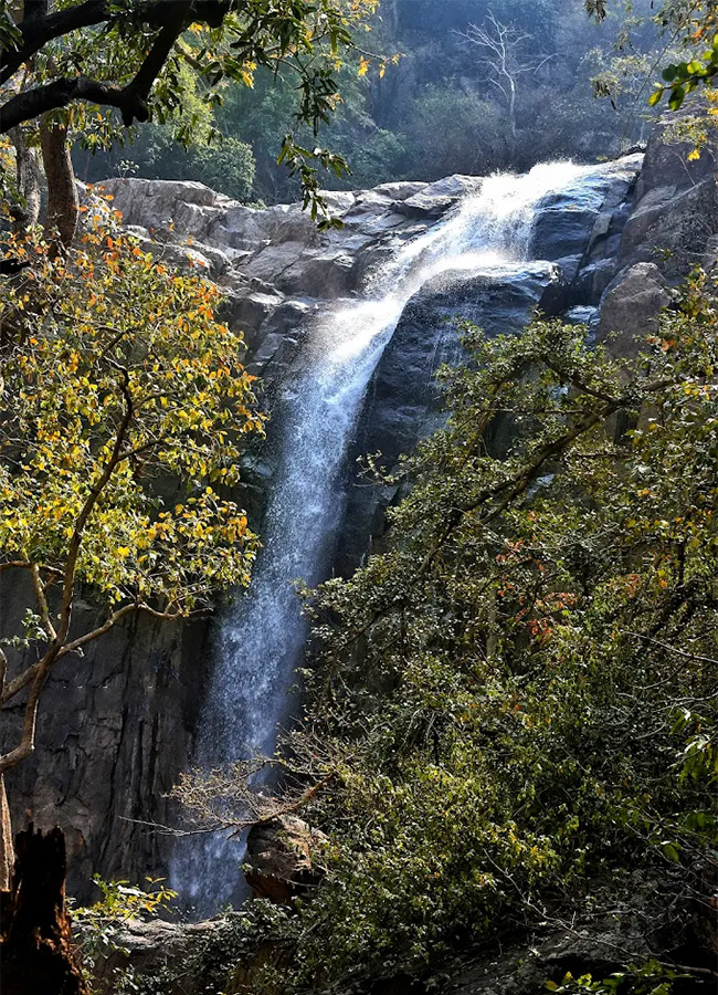 Mankadadian Waterfall in Odisha Photos11