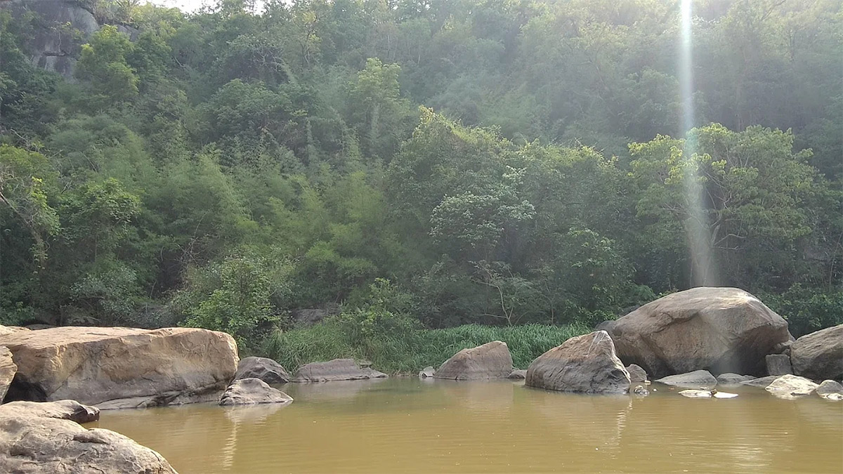 Mankadadian Waterfall in Odisha Photos12