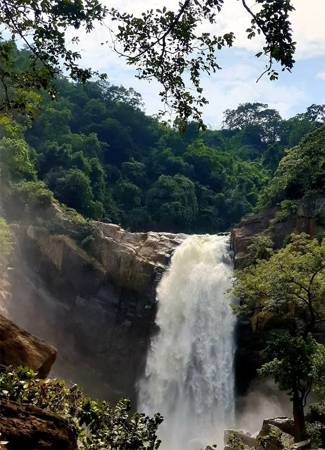 Mankadadian Waterfall in Odisha Photos13