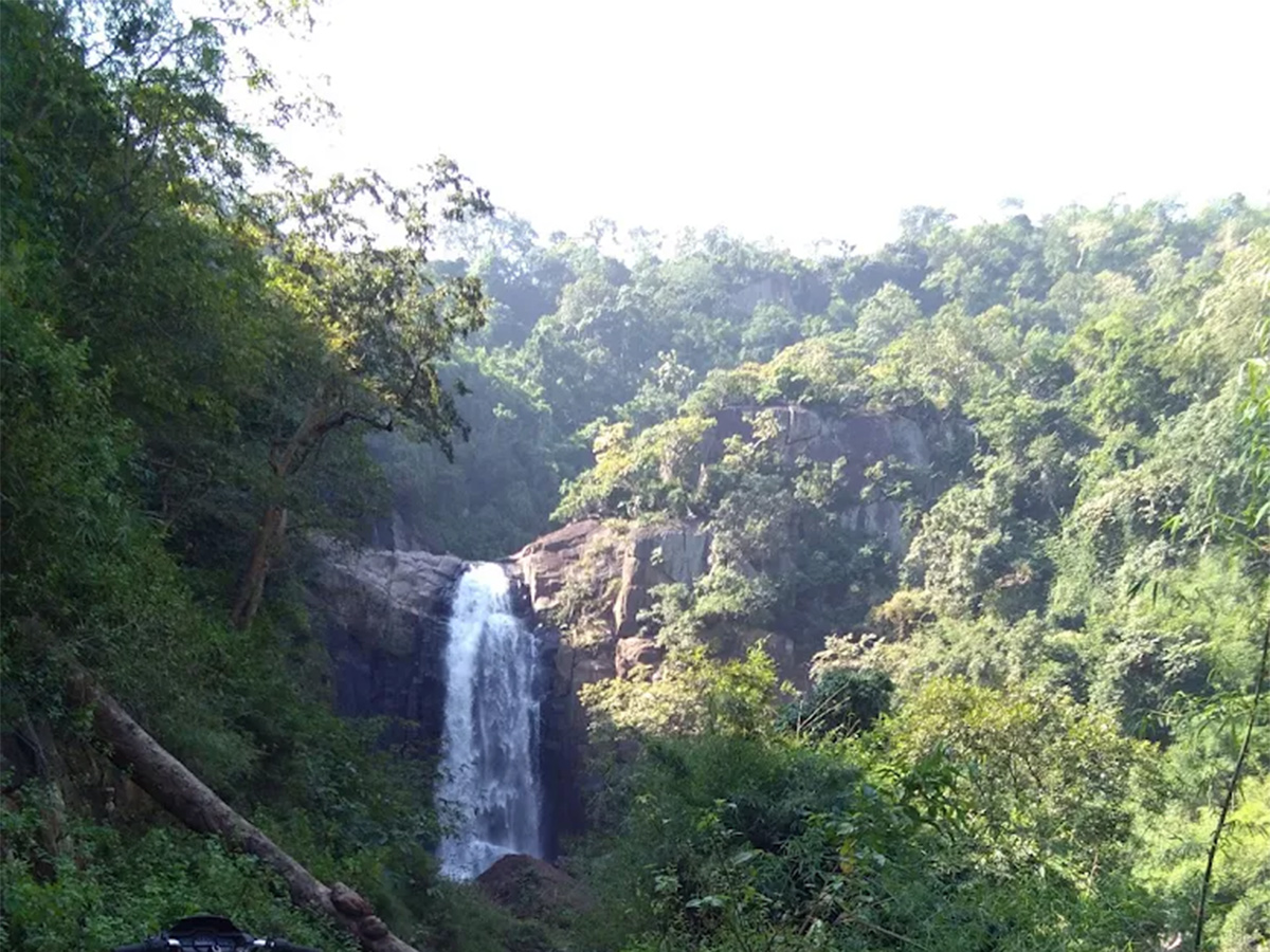 Mankadadian Waterfall in Odisha Photos5