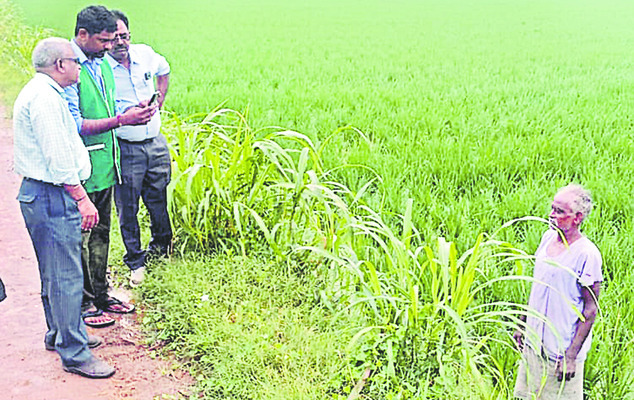 కొనసాగులేం!1