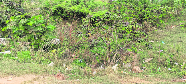 కన్ను పడితే కబ్జా 2