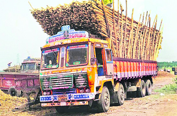 విజయవాడ సిటీ1