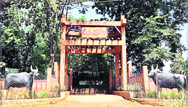 ఎకో ఆదాయం.. ఇష్టారాజ్యం1