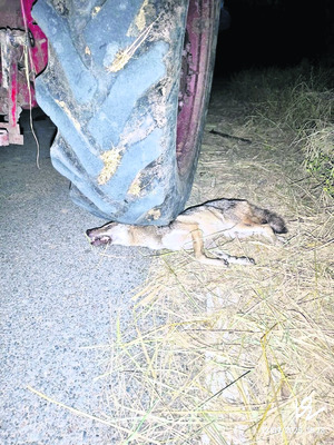 రవిబాబుకు డీఈఓగా పూర్తి అదనపు బాధ్యతలు   2