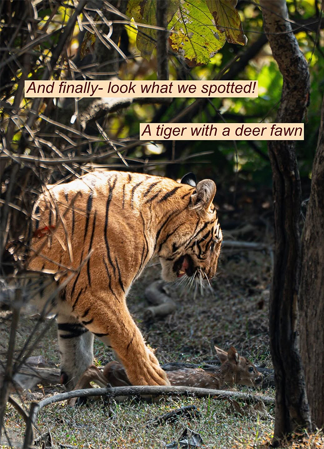 Actress Malavika Mohanan Safari Ride Exclusive Photos10