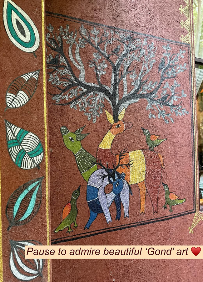 Actress Malavika Mohanan Safari Ride Exclusive Photos13