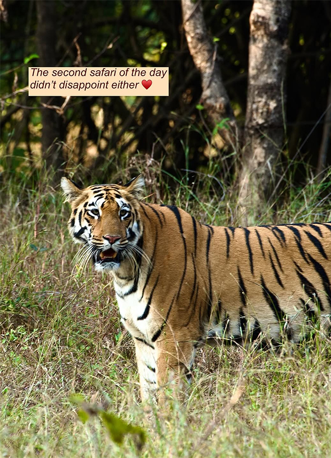 Actress Malavika Mohanan Safari Ride Exclusive Photos16