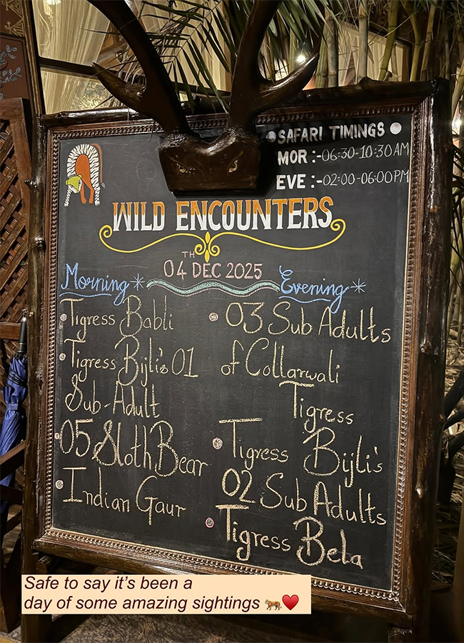 Actress Malavika Mohanan Safari Ride Exclusive Photos19