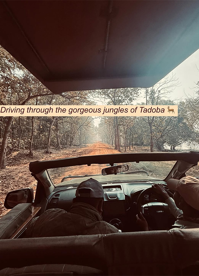 Actress Malavika Mohanan Safari Ride Exclusive Photos5