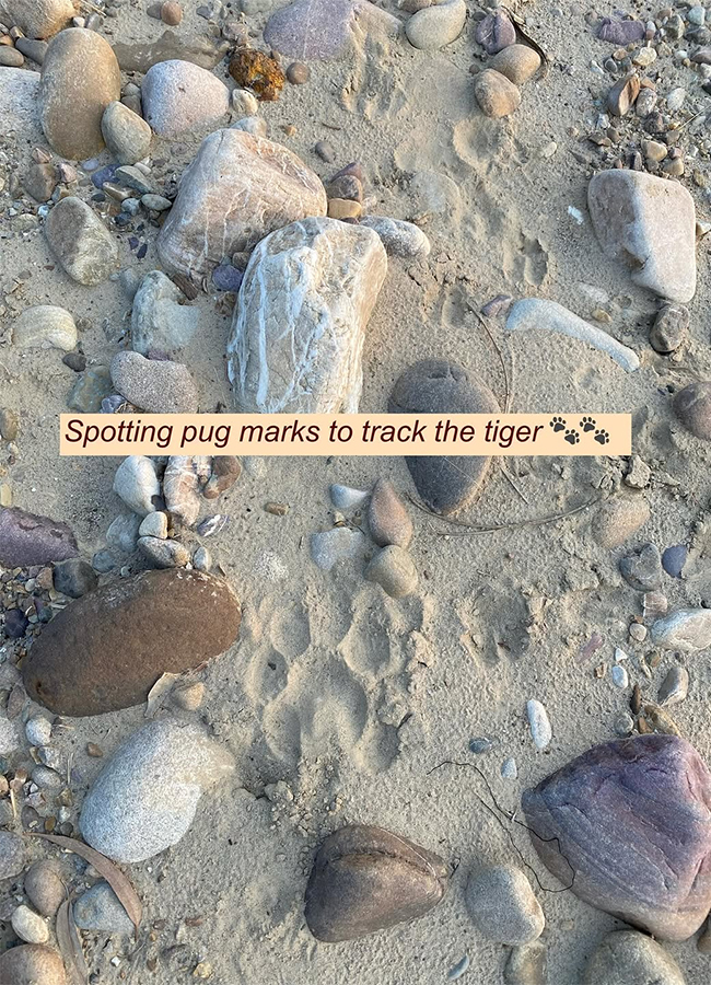 Actress Malavika Mohanan Safari Ride Exclusive Photos6