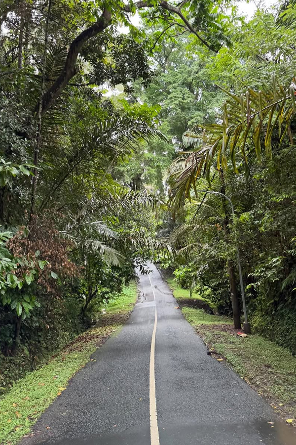 Indian cricketer Shafali Verma vacation In Bali Photos5