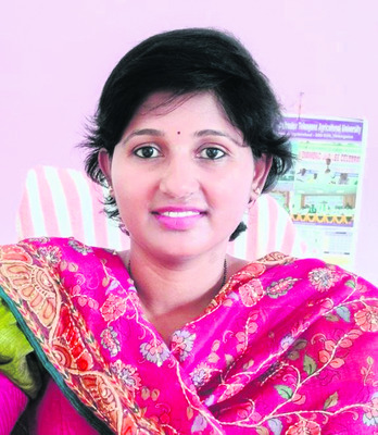 నారుమడిపై చలి ప్రభావం 1