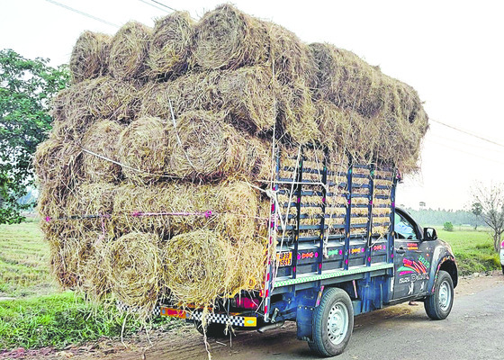 కొరతకు కట్టడి 2