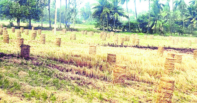 కొరతకు కట్టడి 1