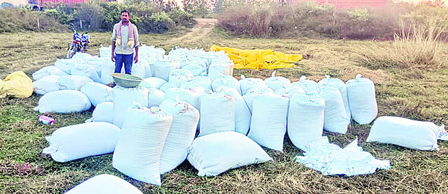 ఎక్కడి ధాన్యం అక్కడే..! 2