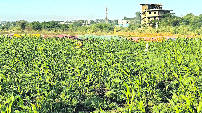 రైల్వే మంత్రిని కలిసిన ఎమ్మెల్యే కేవీఆర్‌
1