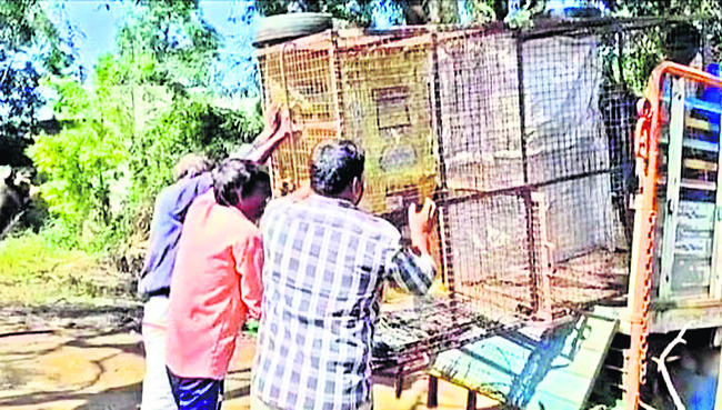 వదిన – మరిది మధ్య సవాల్‌3