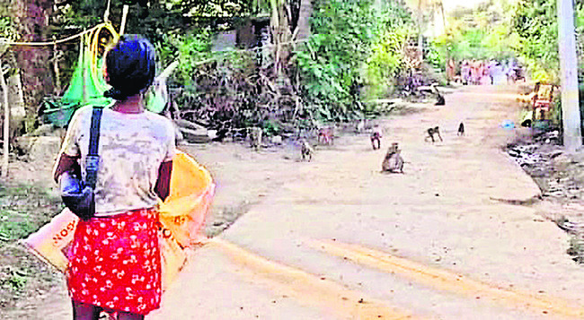 వదిన – మరిది మధ్య సవాల్‌1