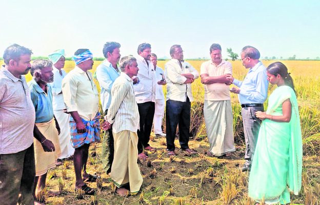 ‘టెట్‌’కు 35 మంది గైర్హాజర్‌ 1