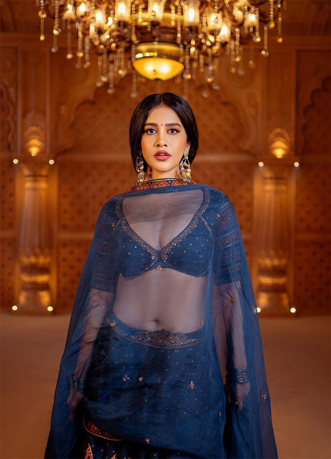 Tollywood Actress Nabha Natesh Birthday Special HD Pics15