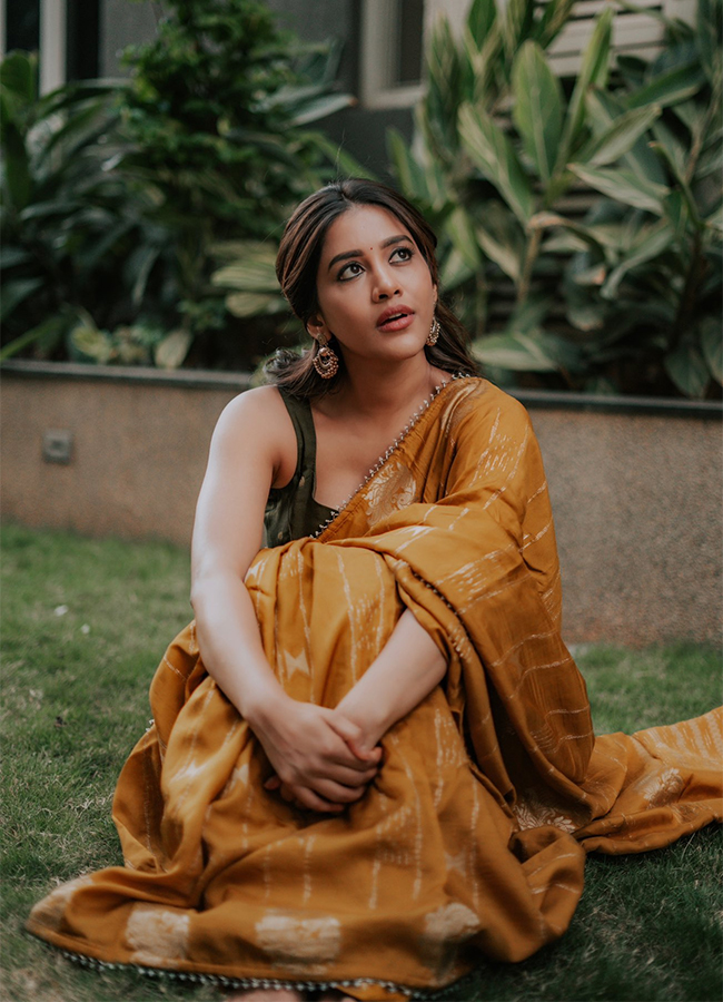 Tollywood Actress Nabha Natesh Birthday Special HD Pics17