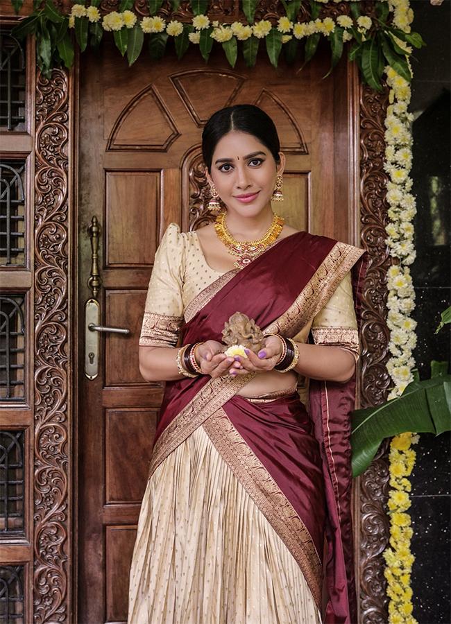 Tollywood Actress Nabha Natesh Birthday Special HD Pics7