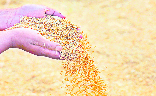 జైలు జీవితం మంచిగా మారేందుకు అవకాశం  
1