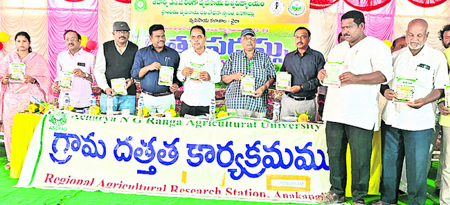 క్షేత్రస్థాయిలో నేర్చుకోవడం ముఖ్యం 1